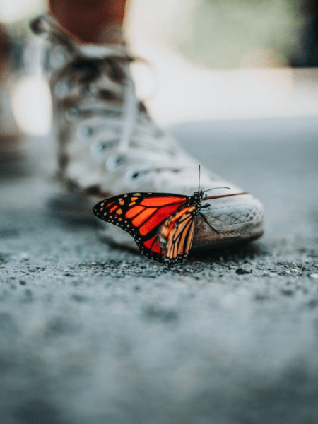 Schmetterling auf Schuh